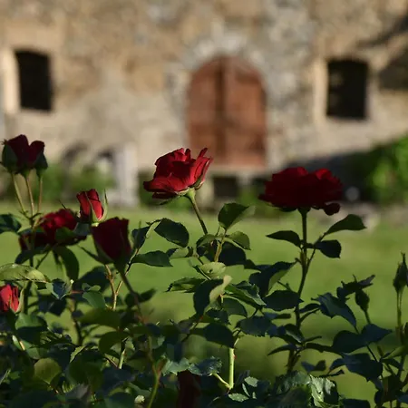 Piano Nobile Al Roseto Del Drago Villa
